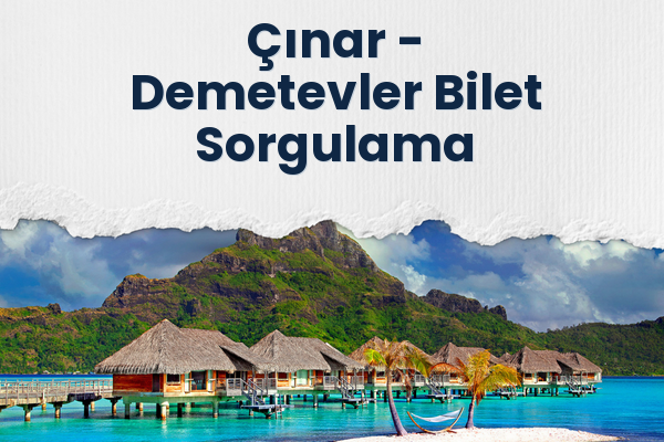 Çınar → Demetevler Bilet Sorgulama