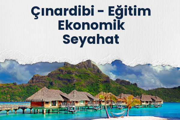 Çınardibi → Eğitim Ekonomik Seyahat