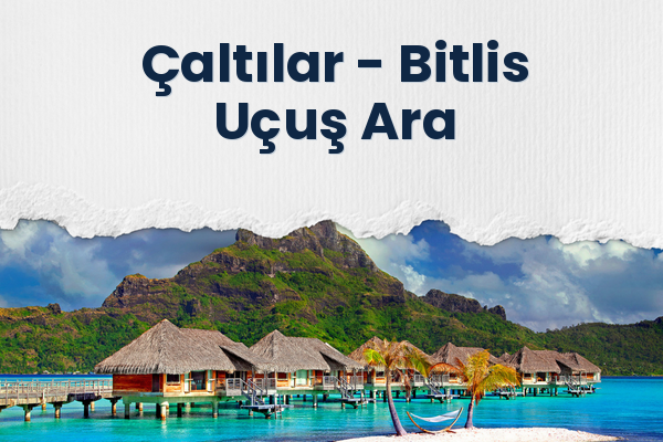 Çaltılar → Bitlis Uçuş Ara