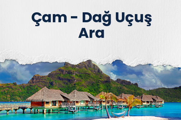 Çam → Dağ Uçuş Ara