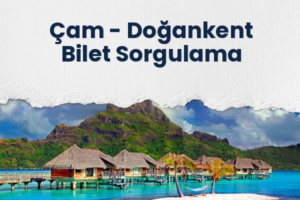 Çam → Doğankent Bilet Sorgulama