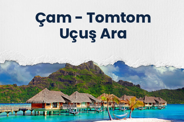 Çam → Tomtom Uçuş Ara
