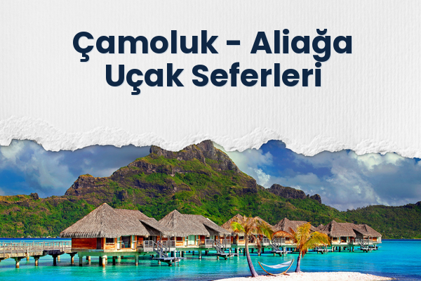 Çamoluk → Aliağa Uçak Seferleri