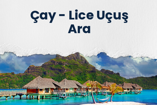 Çay → Lice Uçuş Ara