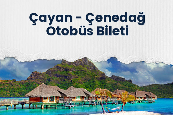 Çayan → Çenedağ Otobüs Bileti