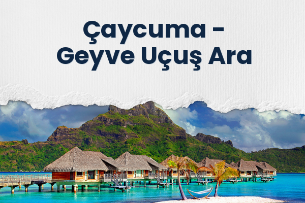Çaycuma → Geyve Uçuş Ara