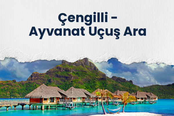 Çengilli → Ayvanat Uçuş Ara
