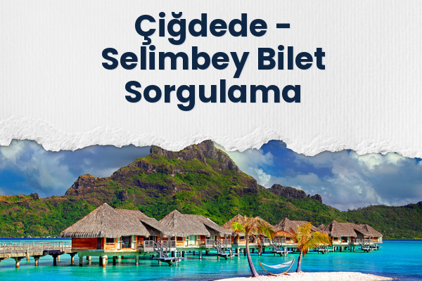 Çiğdede → Selimbey Bilet Sorgulama