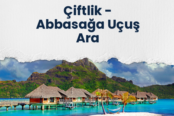 Çiftlik → Abbasağa Uçuş Ara