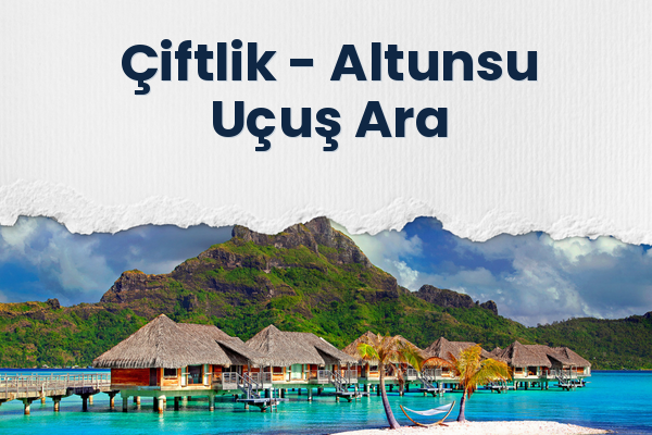Çiftlik → Altunsu Uçuş Ara