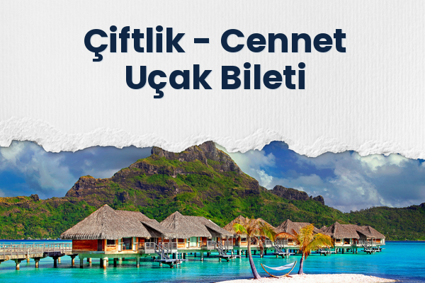 Çiftlik → Cennet Uçak Bileti