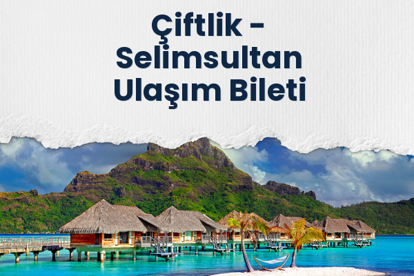 Çiftlik → Selimsultan Ulaşım Bileti