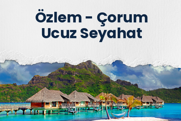 Özlem → Çorum Ucuz Seyahat