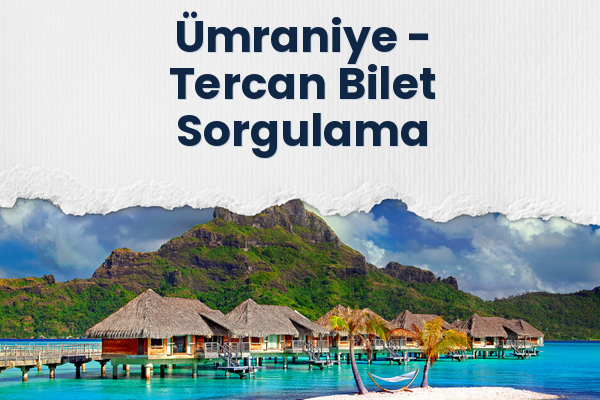 Ümraniye → Tercan Bilet Sorgulama