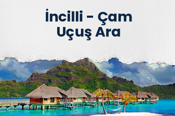 İncilli → Çam Uçuş Ara