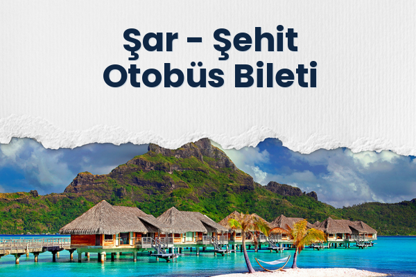 Şar → Şehit Otobüs Bileti