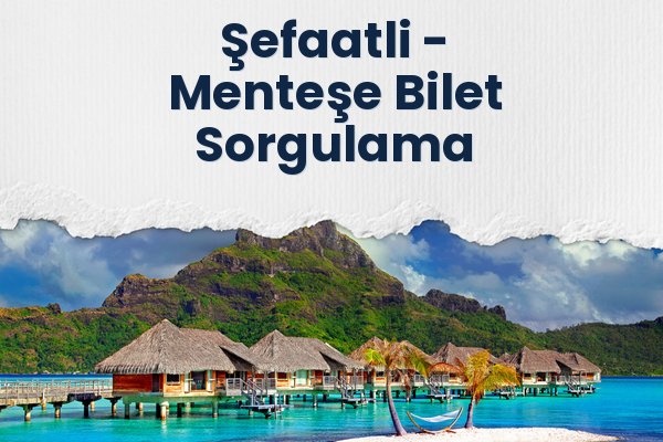 Şefaatli → Menteşe Bilet Sorgulama