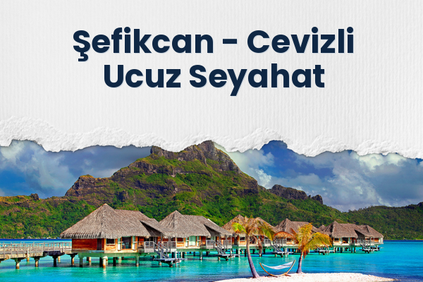 Şefikcan → Cevizli Ucuz Seyahat
