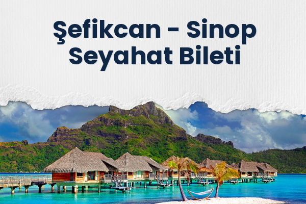 Şefikcan → Sinop Seyahat Bileti