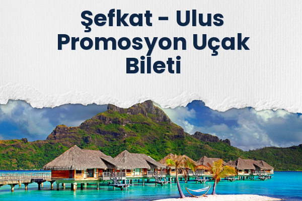 Şefkat → Ulus Promosyon Uçak Bileti