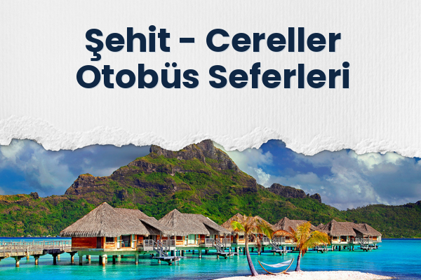 Şehit → Cereller Otobüs Seferleri