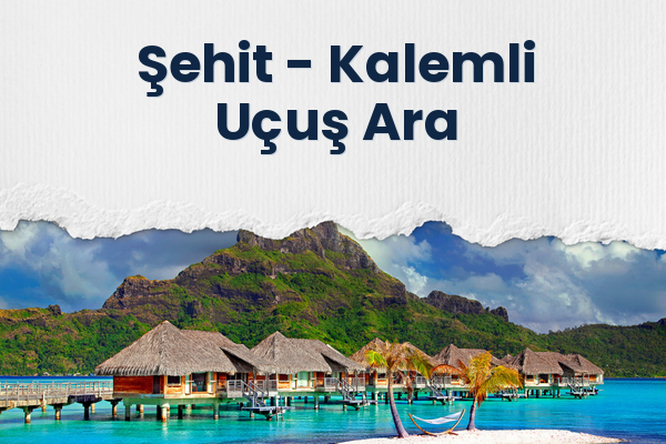 Şehit → Kalemli Uçuş Ara