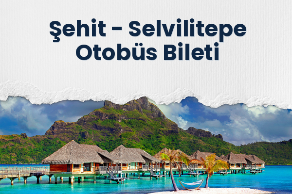 Şehit → Selvilitepe Otobüs Bileti
