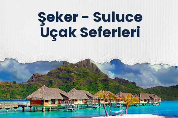Şeker → Suluce Uçak Seferleri