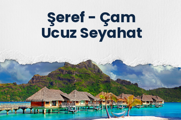 Şeref → Çam Ucuz Seyahat