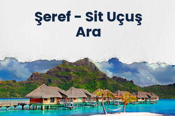Şeref → Sit Uçuş Ara