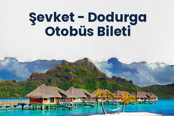 Şevket → Dodurga Otobüs Bileti