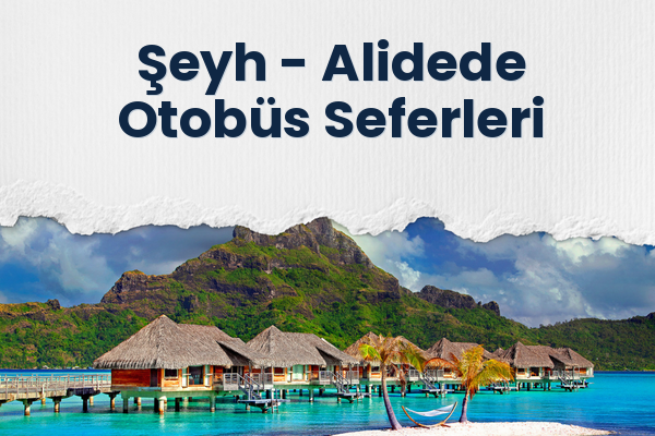 Şeyh → Alidede Otobüs Seferleri