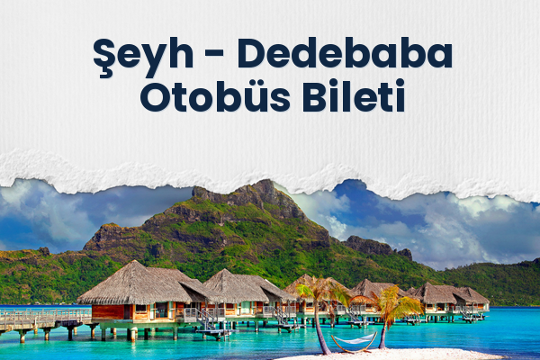 Şeyh → Dedebaba Otobüs Bileti