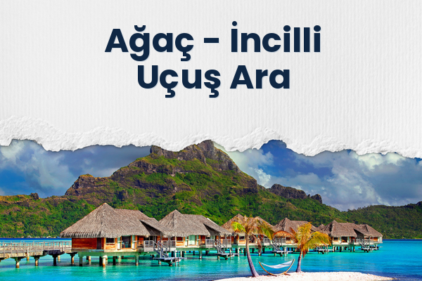 Ağaç → İncilli Uçuş Ara