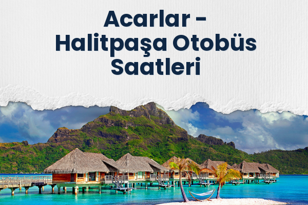 Acarlar → Halitpaşa Otobüs Saatleri