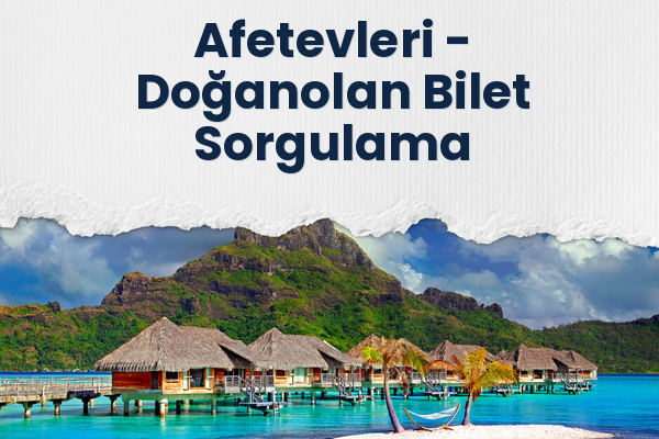 Afetevleri → Doğanolan Bilet Sorgulama