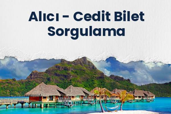 Alıcı → Cedit Bilet Sorgulama