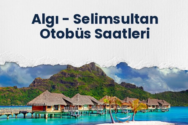Algı → Selimsultan Otobüs Saatleri