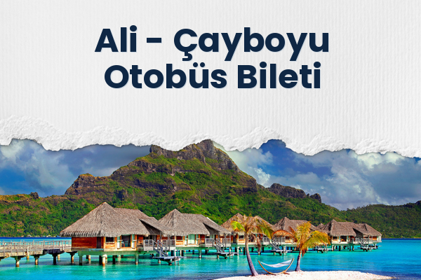 Ali → Çayboyu Otobüs Bileti