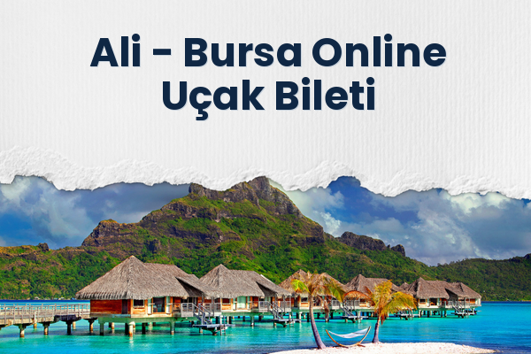 Ali → Bursa Online Uçak Bileti