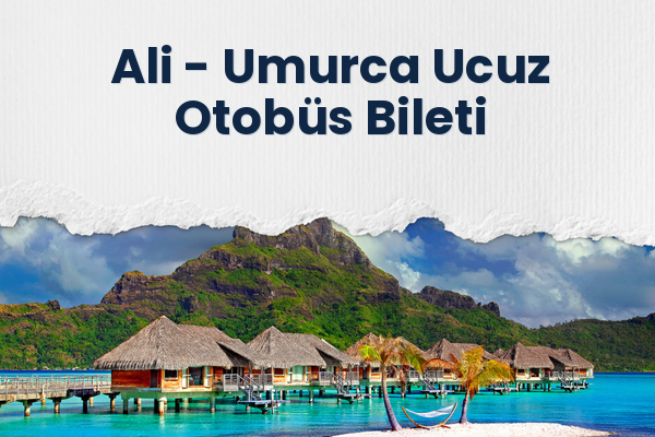 Ali → Umurca Ucuz Otobüs Bileti