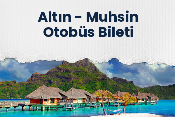 Altın → Muhsin Otobüs Bileti