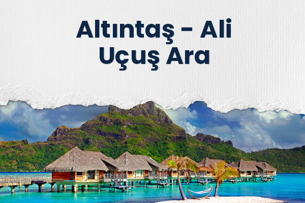 Altıntaş → Ali Uçuş Ara