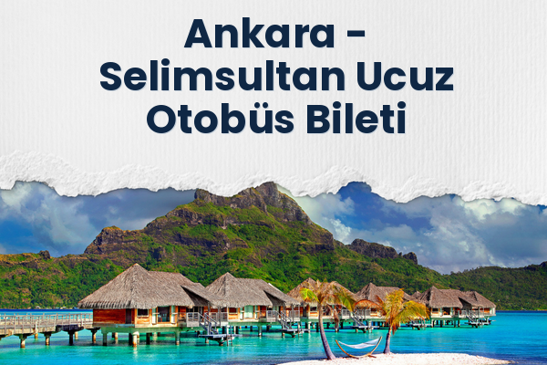 Ankara → Selimsultan Ucuz Otobüs Bileti