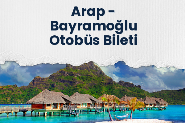 Arap → Bayramoğlu Otobüs Bileti