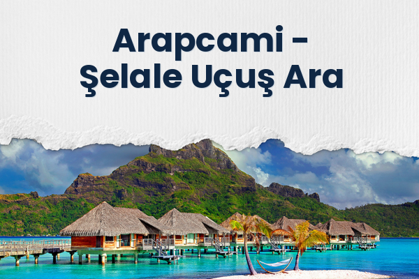Arapcami → Şelale Uçuş Ara
