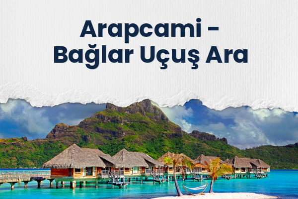 Arapcami → Bağlar Uçuş Ara