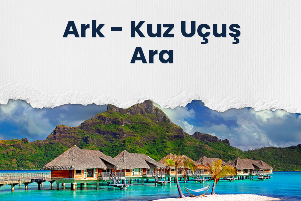 Ark → Kuz Uçuş Ara