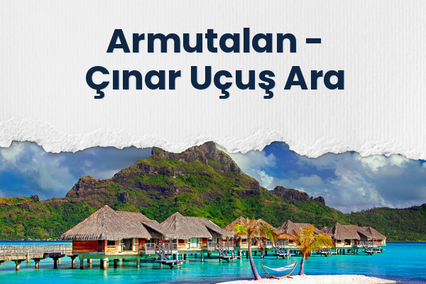 Armutalan → Çınar Uçuş Ara