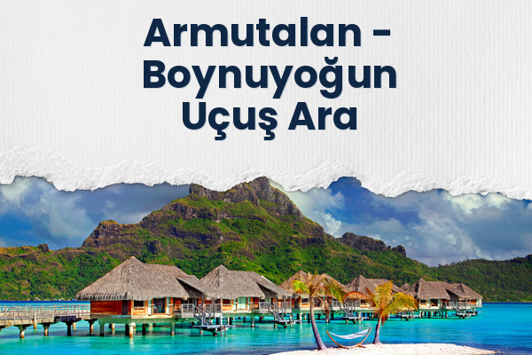 Armutalan → Boynuyoğun Uçuş Ara